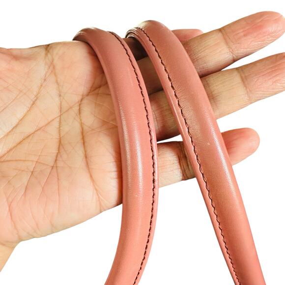 Burberry Blue Label Tote - Pre-Owned in Brown and Pink - Picture 9 of 10